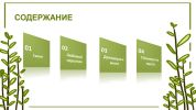 Слайд2.PNG