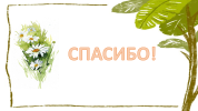Слайд9.PNG
