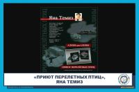 "Shelter for Migratory Birds", Yana Temiz