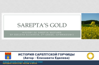 Sarepta’s gold – History of Sarepta Mustard